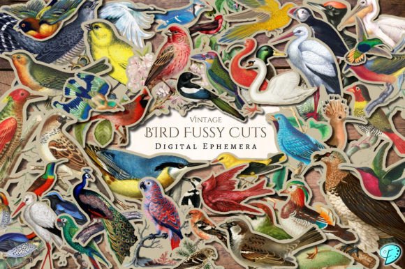 Download Vintage Bird Fussy Cut Digital Ephemera - Digital Collection